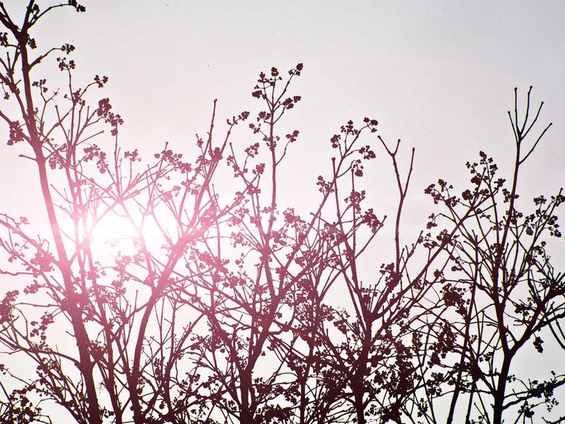 sudoku new features screenshot 5